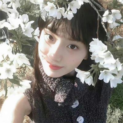 一舞倾情