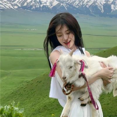 超级无敌掌门狗：引鹅入室